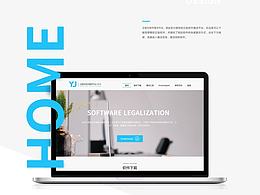 【软件正版化网站平台】web设计