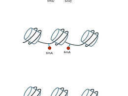 醫(yī)療插畫(huà)