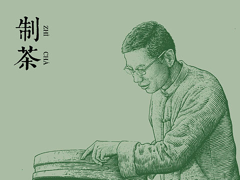 原创插画|制茶