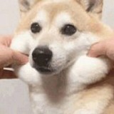 LUWEI小少年的头像
