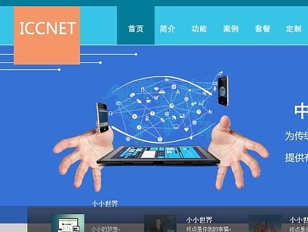全微网络网页效果图