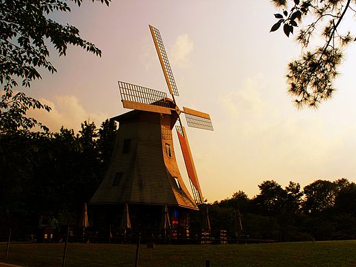 杭州太子湾大风车