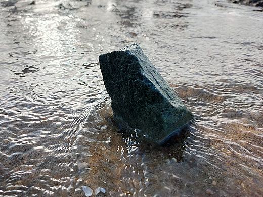 海边上的微世界