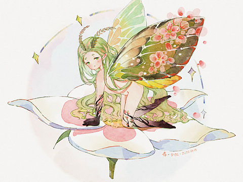 一只小蛾子的四季