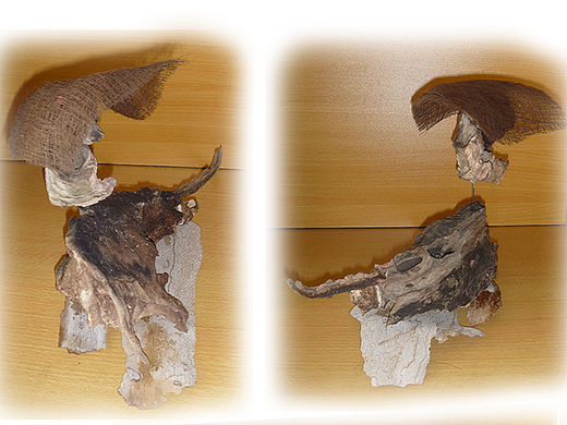 “生命不屈”之枯木再利用设计--李耳入道