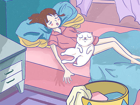 和猫咪一起的生活