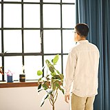 Beck_z的头像