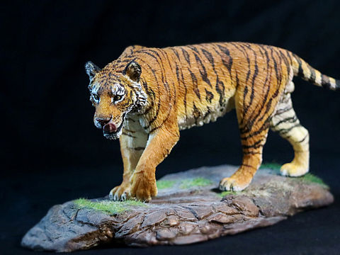 华南虎涂装展示