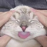 阮晚晚的头像