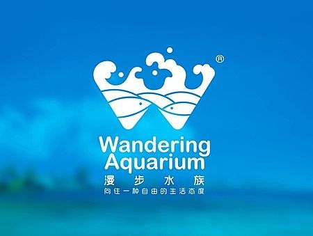 北京漫步水族logo设计 | Beijing Wandering Aquarium logo