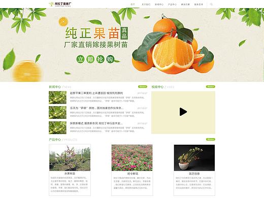 网站设计（个人主页-ZMjA1NjgzMDA=） - 企业官网 - 站酷设计师星空骑士原创素材 - 站酷ZCOOL