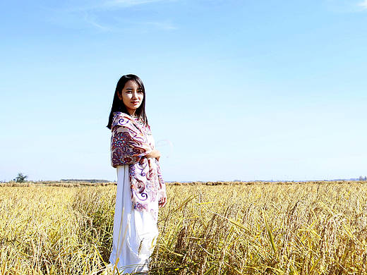 黑龙江五常秋收季