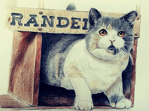 彩铅英国短毛猫（个人主页-ZMTY4NzMwOTI=） - 绘画 - 站酷设计师lilmatt原创素材 - 站酷ZCOOL