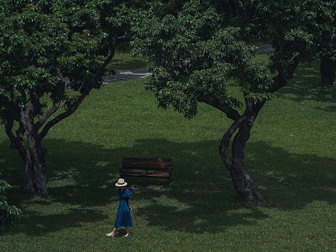 夏日狂想曲