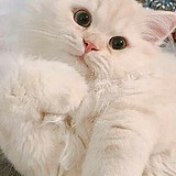 落沉的头像