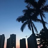 linxia6567的头像