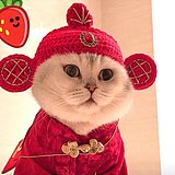 用户头像