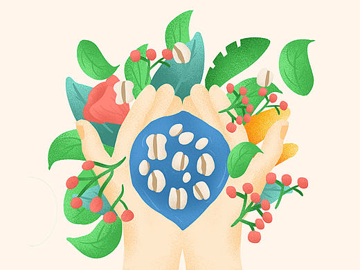 化妆品类，清新植物系，插画包装。---（杜一）