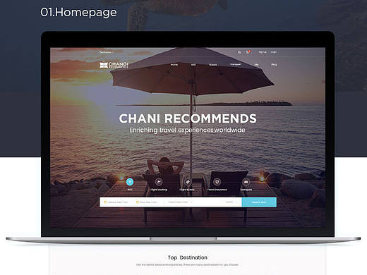 WEB DESIGN