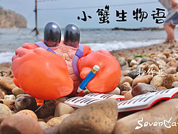 小蟹生物語蟹包寶