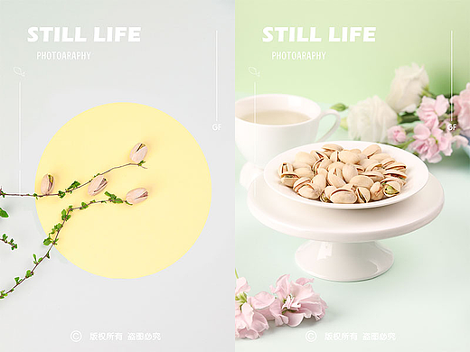 坚果系列|开心果×Asia小金鱼