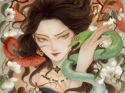 雨师妾手绘插画