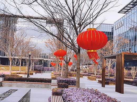 大红灯笼高高挂