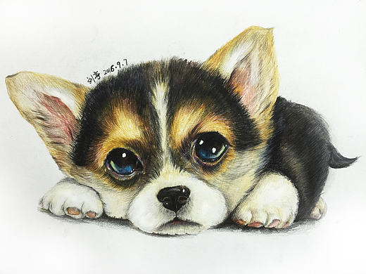 彩铅狗狗
