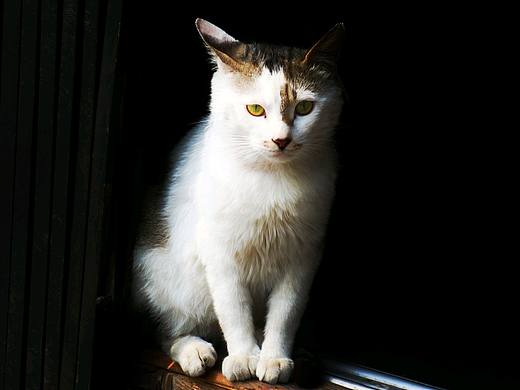 【骑行中国】第三站,常州