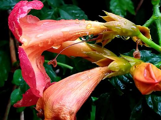 秋雨（个人主页-ZMzAzMDc2NTI=） - 产品摄影 - 站酷设计师田麸原创素材 - 站酷ZCOOL