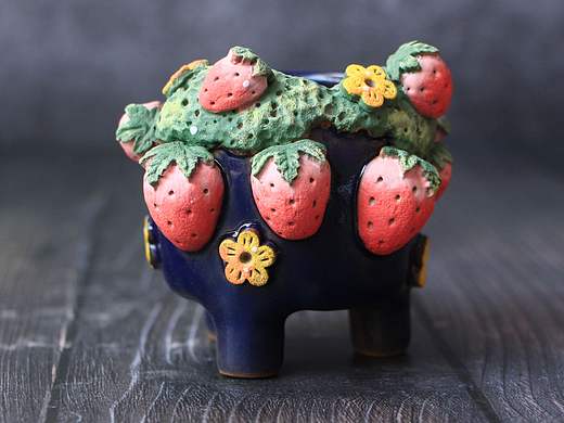 草莓味的多肉花器