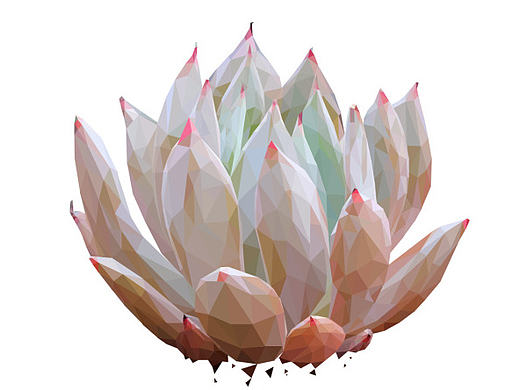 肉肉的多肉 - low poly