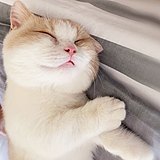 溜溜球sun的头像