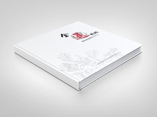 方形畫冊（個人主頁-ZMTY3Njc1MjA=） - 書籍/畫冊 - 站酷設(shè)計師不愛吃余原創(chuàng)素材 - 站酷ZCOOL