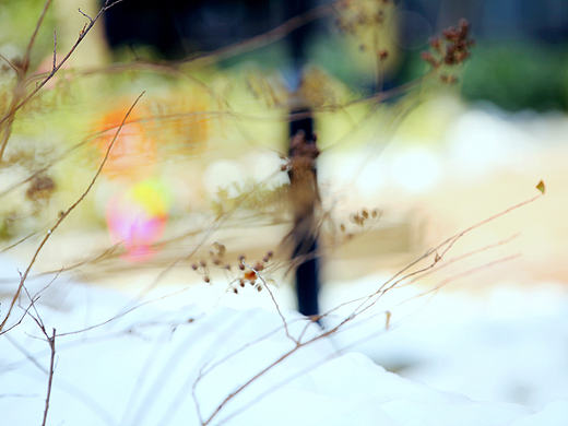 一场雪 一个季节 一个四季轮回（个人主页-ZMjAyODAyODQ=） - 产品摄影 - 站酷设计师木鱼说原创素材 - 站酷ZCOOL