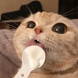 JUWE的头像