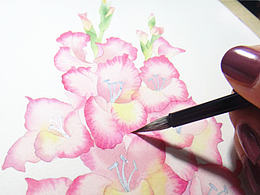 插画