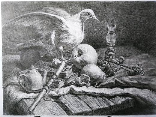 素描静物—鸽子