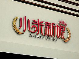 一個字體LOGO設(shè)計