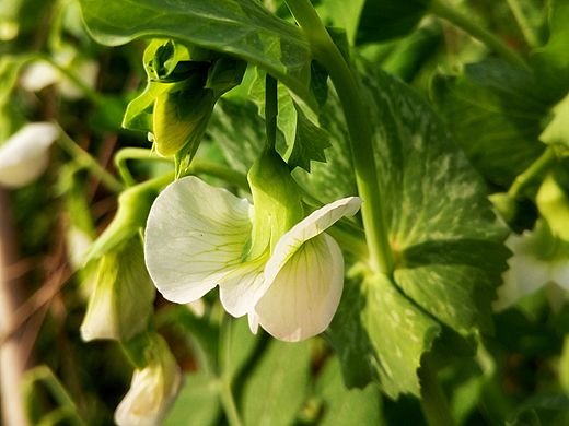 小發(fā)現(xiàn)（個(gè)人主頁-ZMTQ3OTY5MDA=） - 其他攝影 - 站酷設(shè)計(jì)師我是阿涅啊原創(chuàng)素材 - 站酷ZCOOL