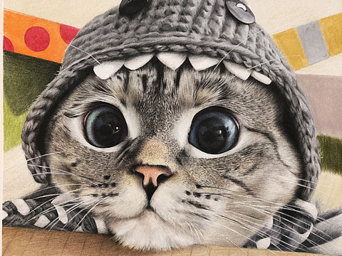 【彩铅手绘】nala猫