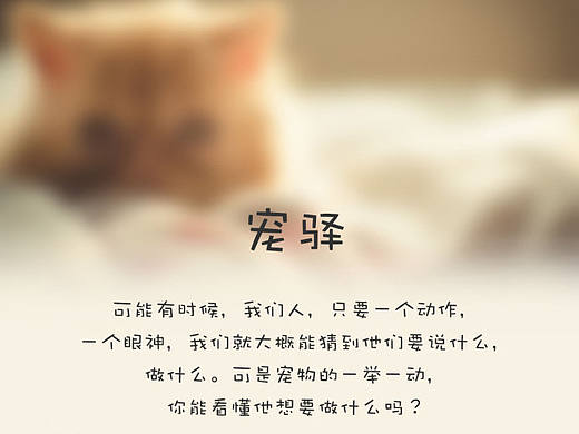 宠物APP移动端设计