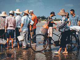 人文