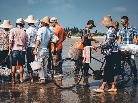 纪实篇-茂名澳内海