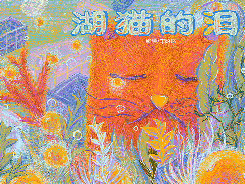 绘本《湖猫的泪》
