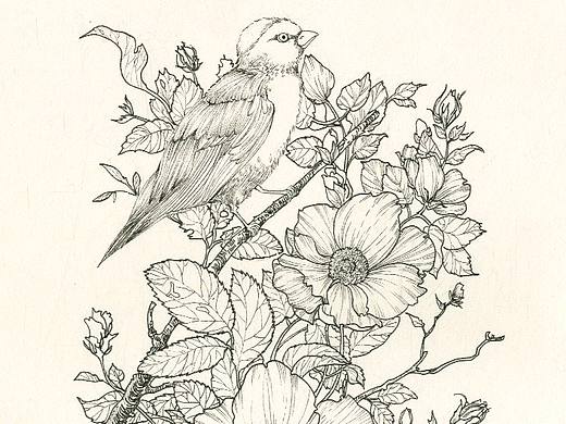 花卉（个人主页-ZMzIxMjY0Mjg=） - 创作习作 - 站酷设计师许小明原创素材 - 站酷ZCOOL