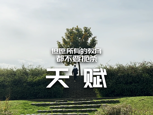 但愿所有的教育不要扼杀天赋