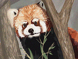 【是小熊貓呀】