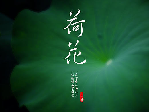 接天莲叶无穷碧,映日荷花别样红!