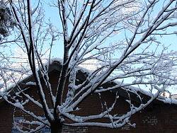 北京初春的雪（個人主頁-ZMjA4ODM5Ng==） - 風光攝影 - 站酷設計師北京新裁縫原創(chuàng)素材 - 站酷ZCOOL